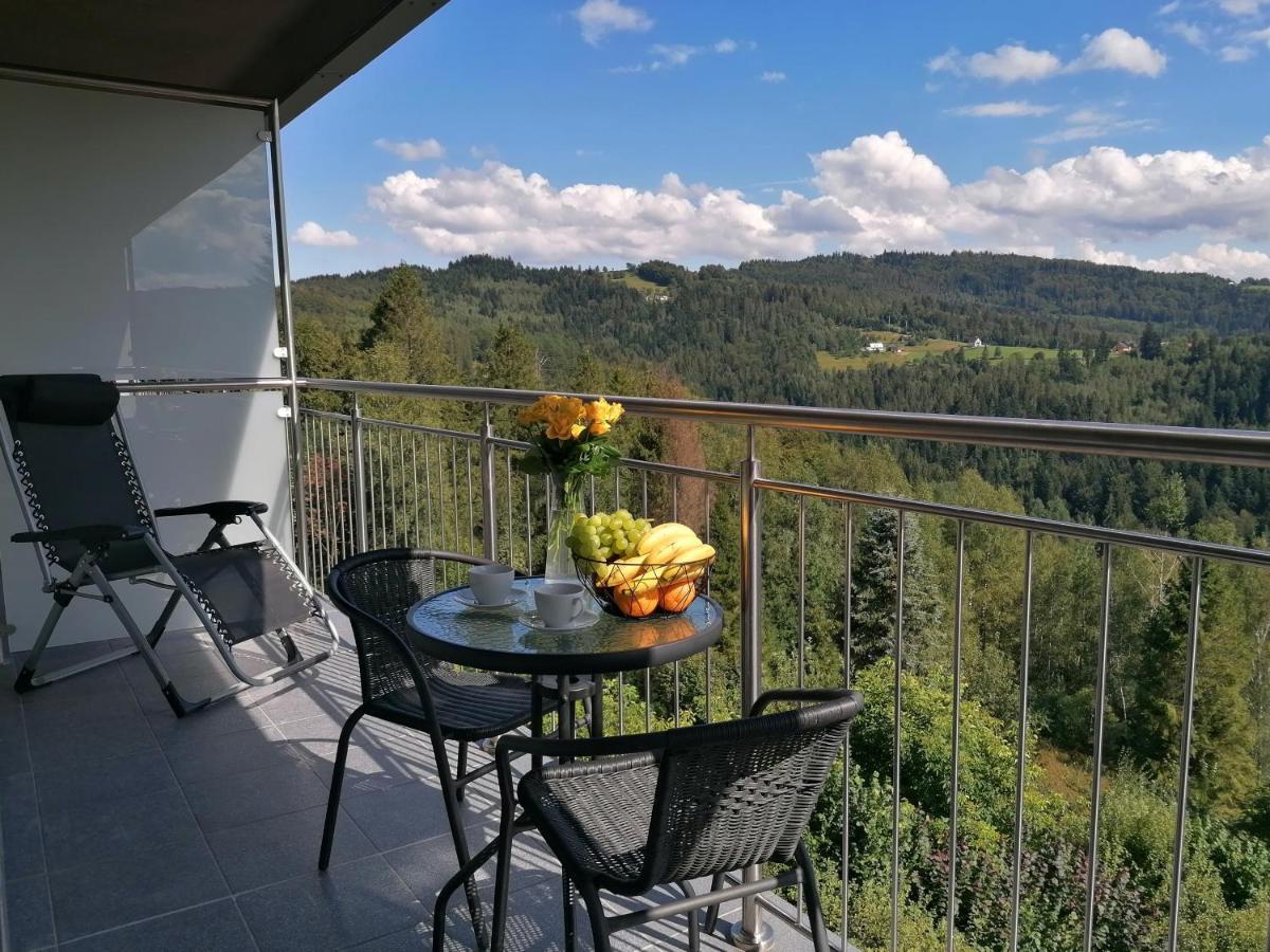 Apartament Widokowy Ul Bukowa Висла Екстериор снимка